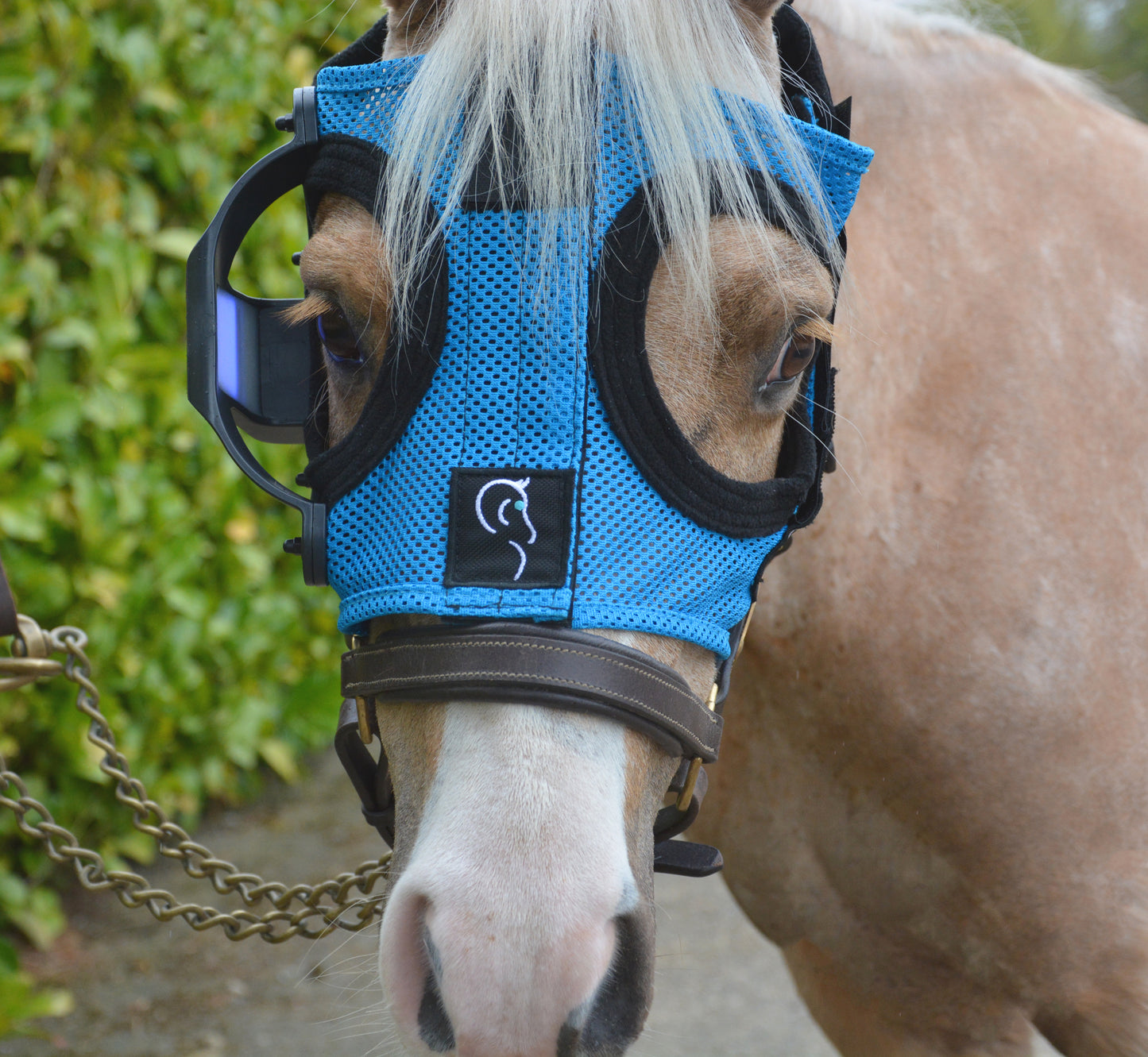 Curragh Light Mask - Pony