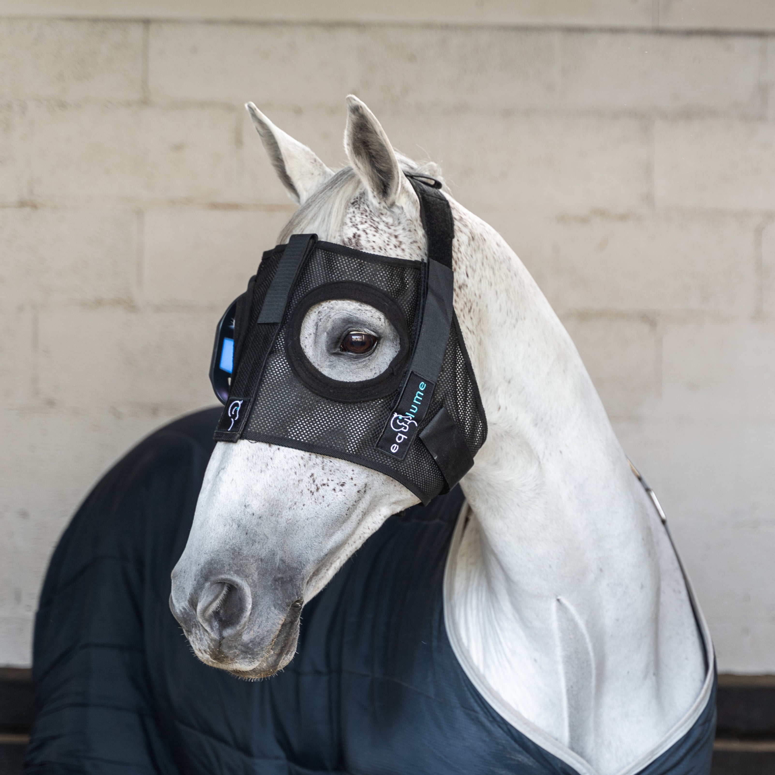 HORINCOSMETICS LumièrePremièreSerumMask Replacement Mask Headpiece - Equilume USA – EQUILUME USA Inc
