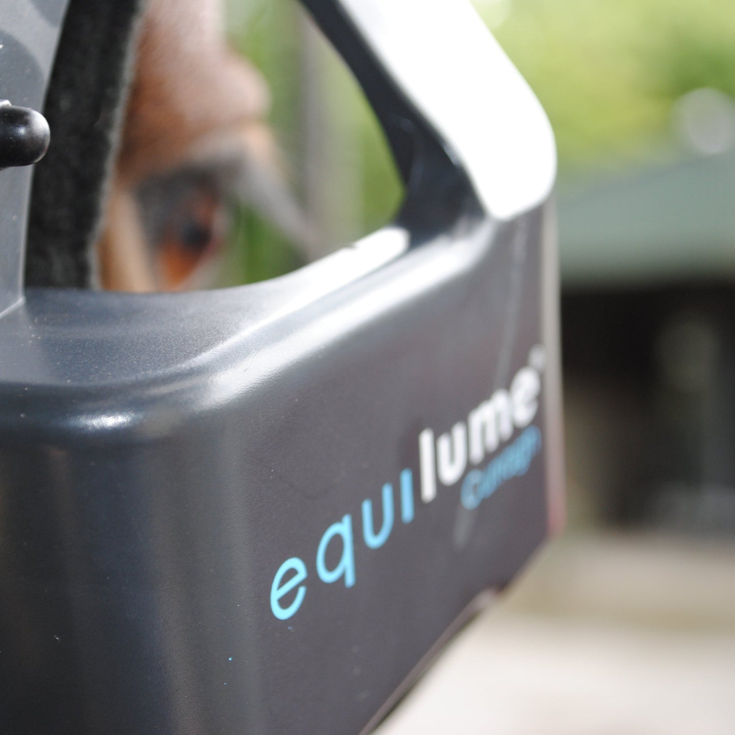 Curragh Replaceable Cup