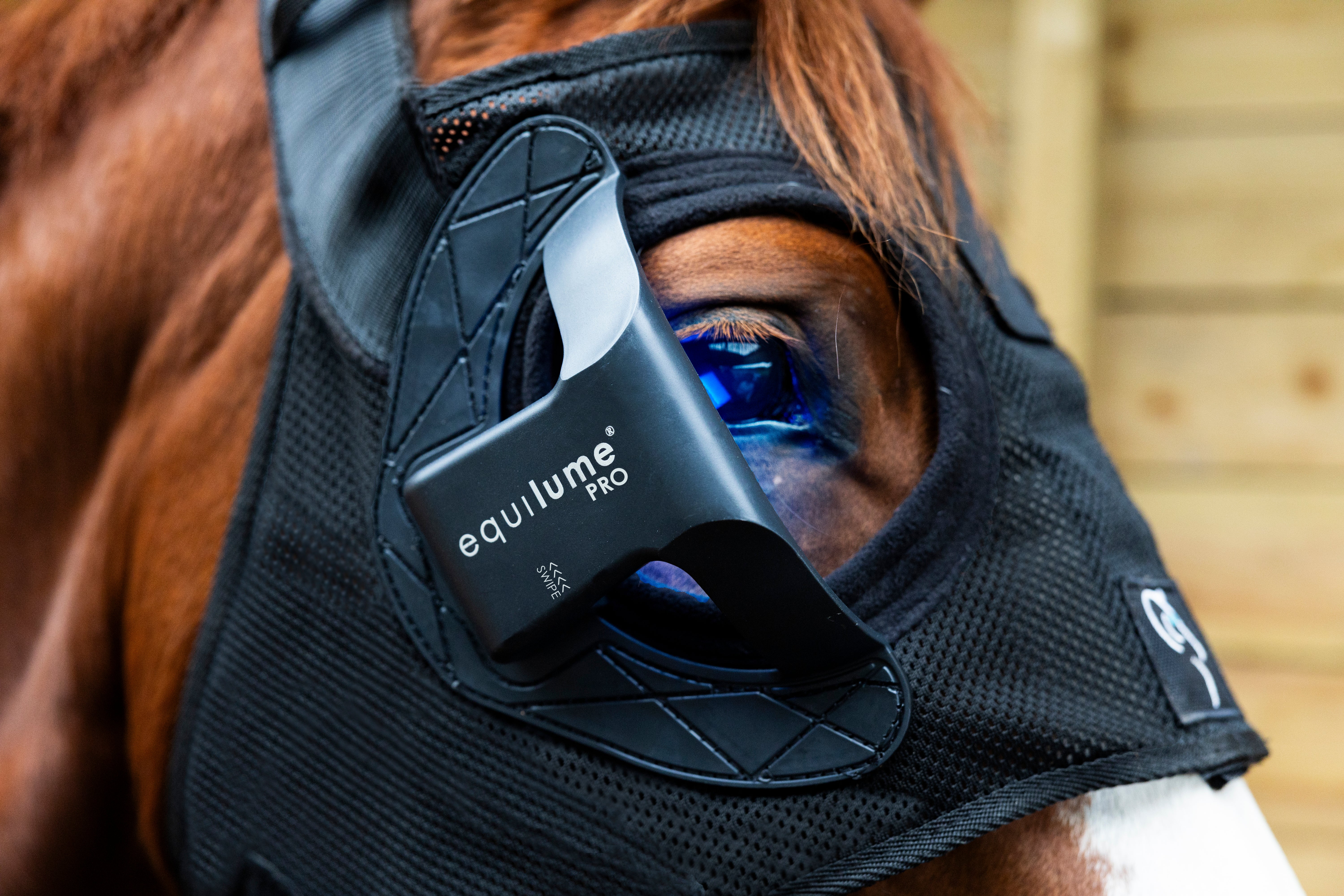Equilume_Pro_-