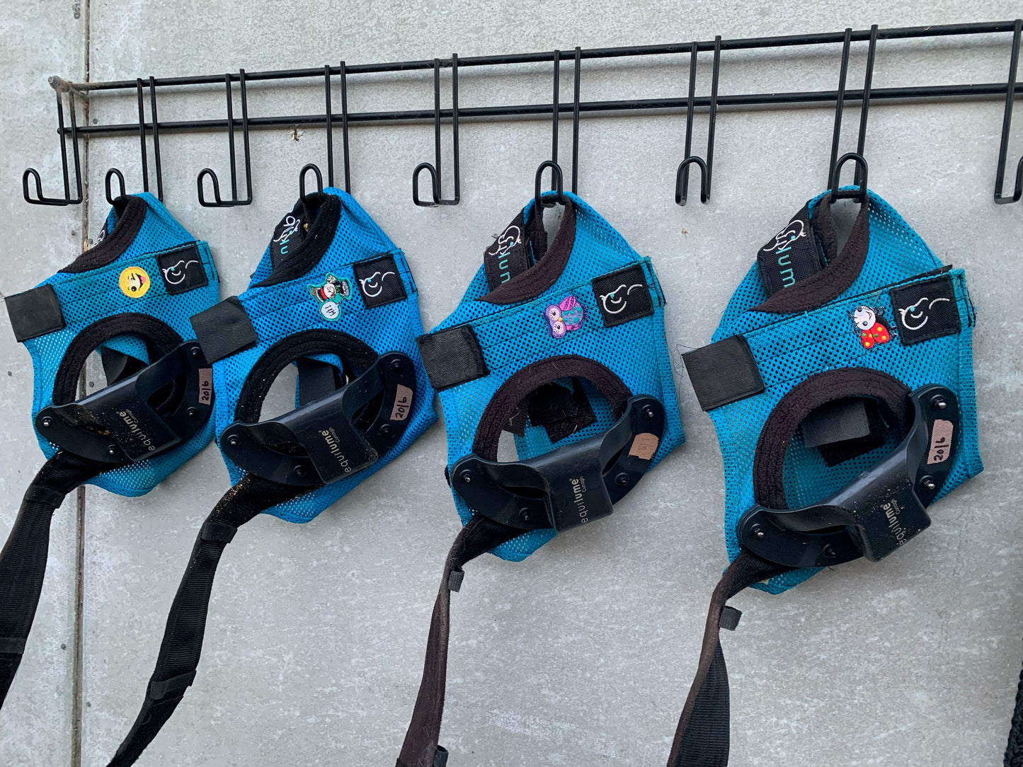 Curragh Light Mask - Pony