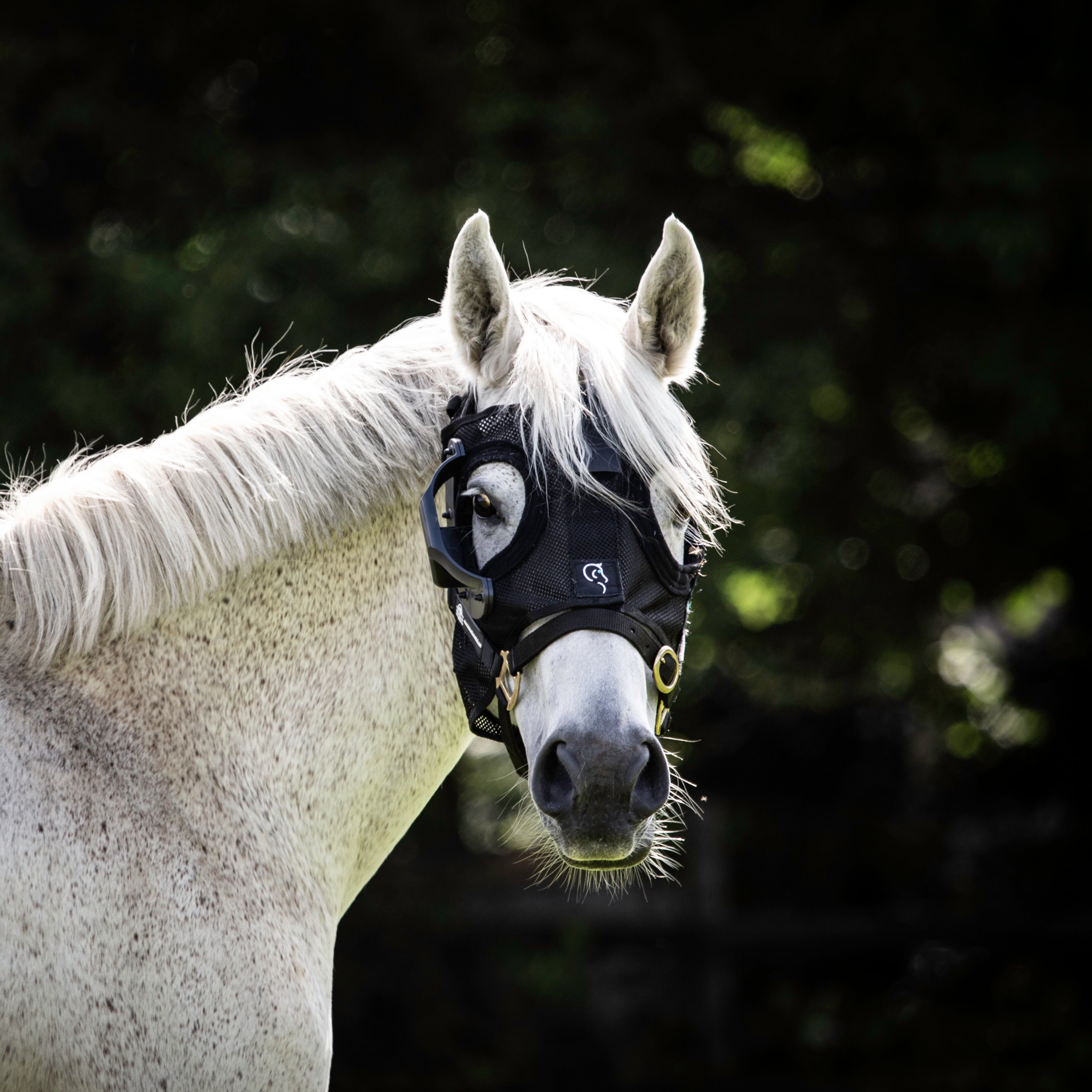 Replacement Mask Headpiece - Equilume USA – EQUILUME USA Inc