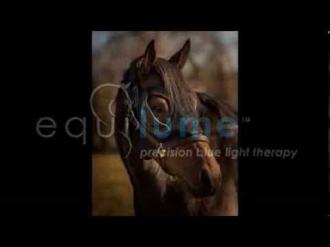 Equilume Pro Light Mask - Performance Mask – EQUILUME USA Inc